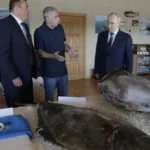 Україна засудила візит Путіна на окуповані Курили